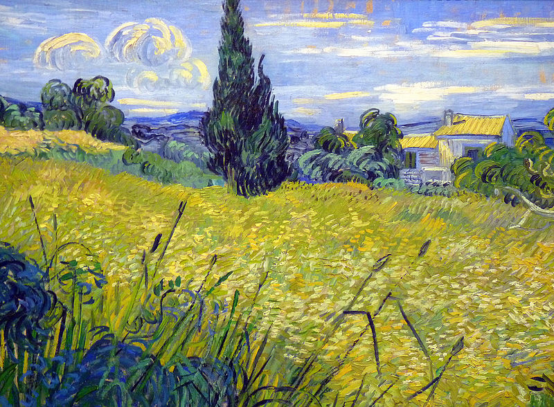 Landscape with Green Corn